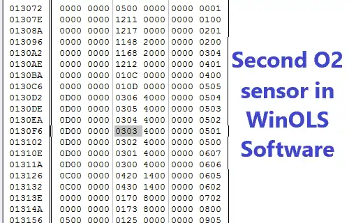 Lambda Sensor Removal in WinOLS Software-Programmer to delete O2 sensor
