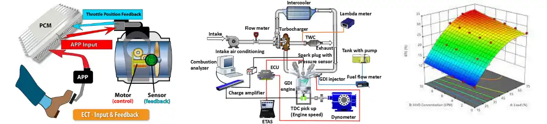 Torque based engine management system